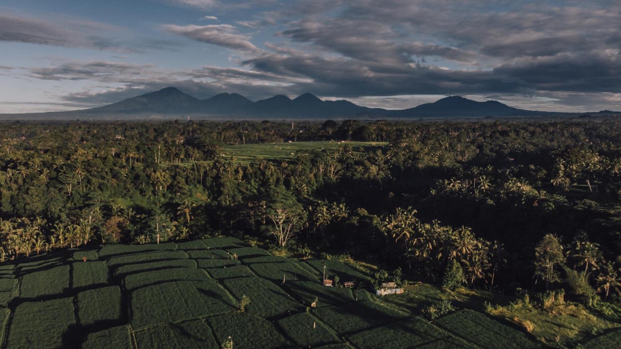 Ipian Cinta By Pramana Villas Ubud  Exterior photo